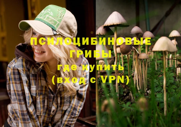 mdpv Бугульма